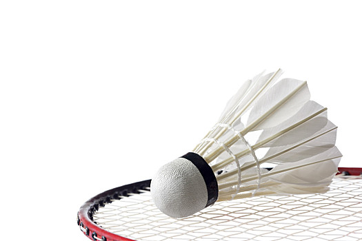 权并不在曾 权并不在曾